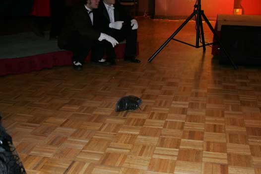 2005-627.jpg