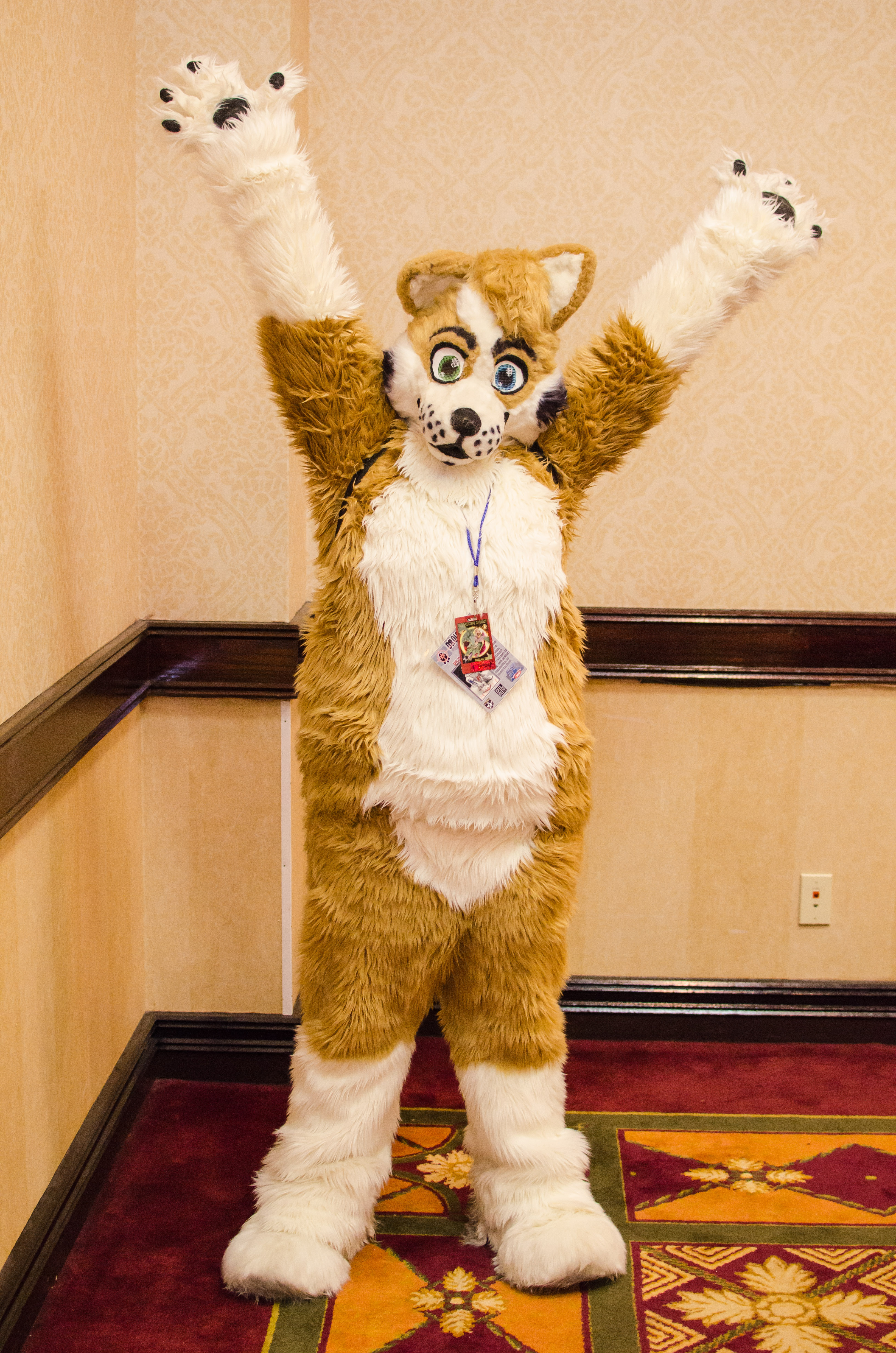 All-Con 2013_8550028759_o.jpg