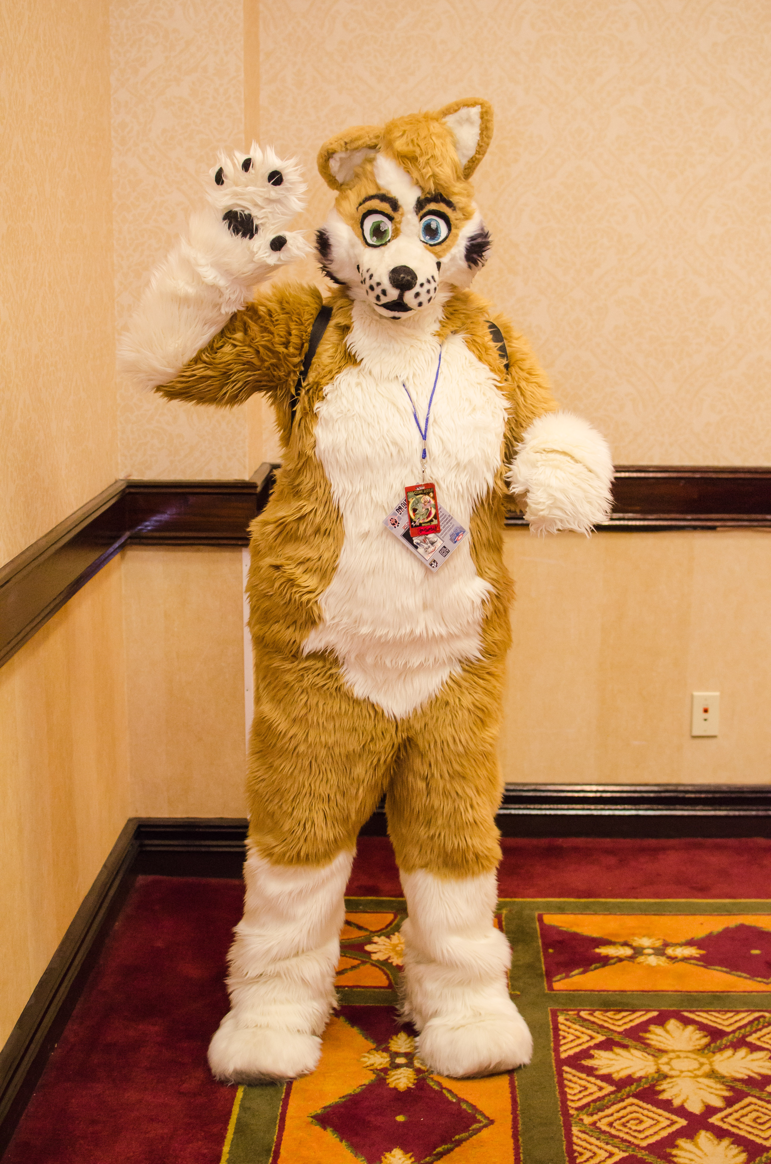 All-Con 2013_8551126972_o.jpg